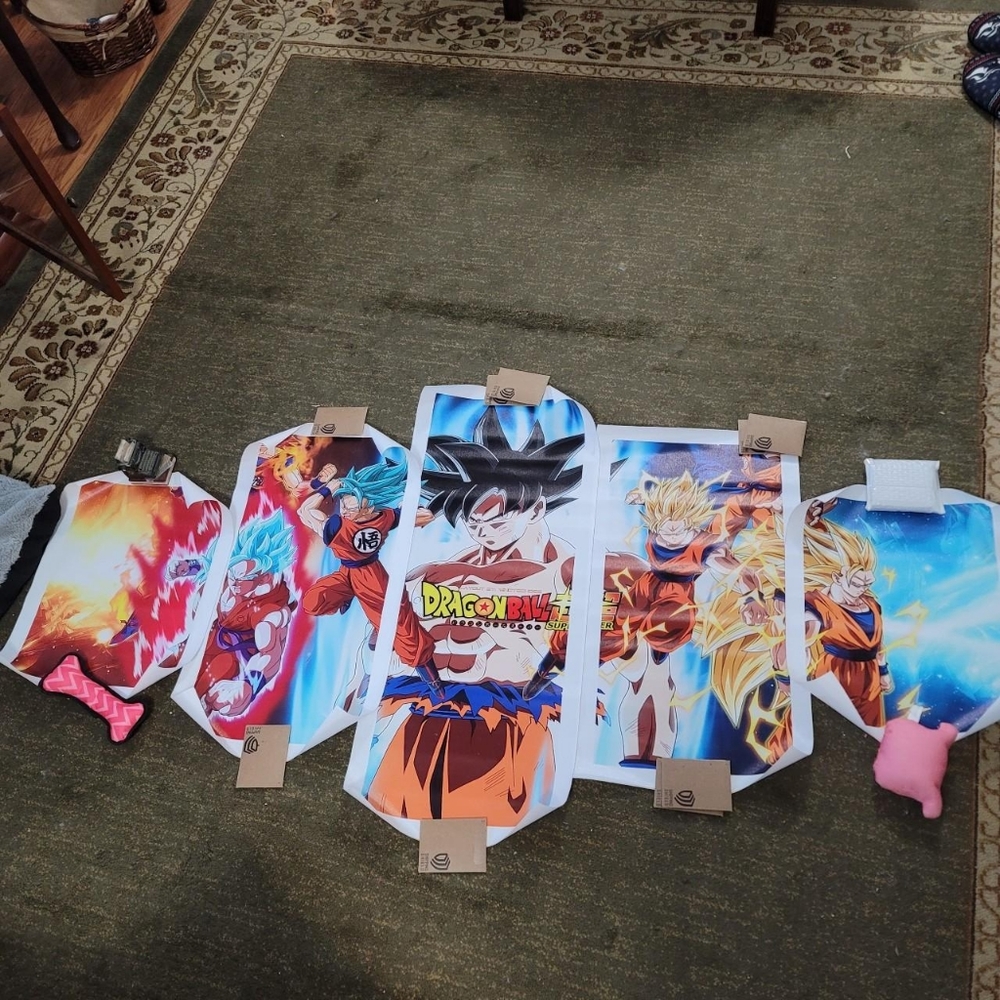 Dragon Ball z wall art
